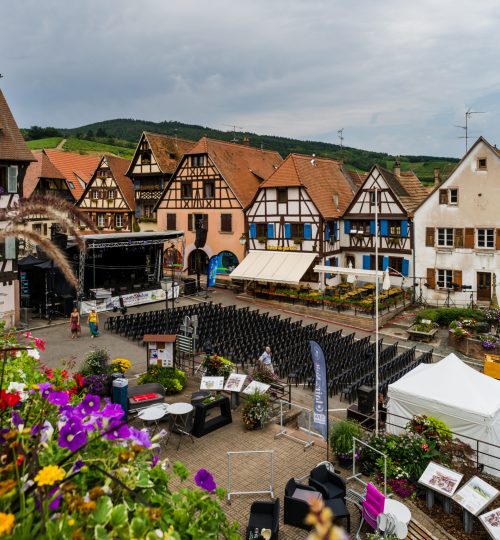 20190726-1215-DSC03518