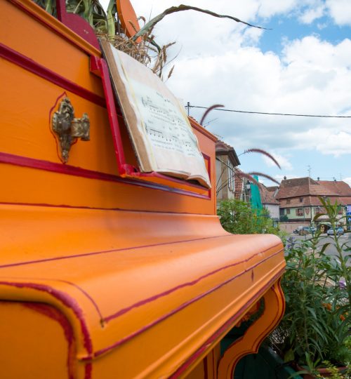 CDN2017_Gertwiller_053_(c)DavidFroemter