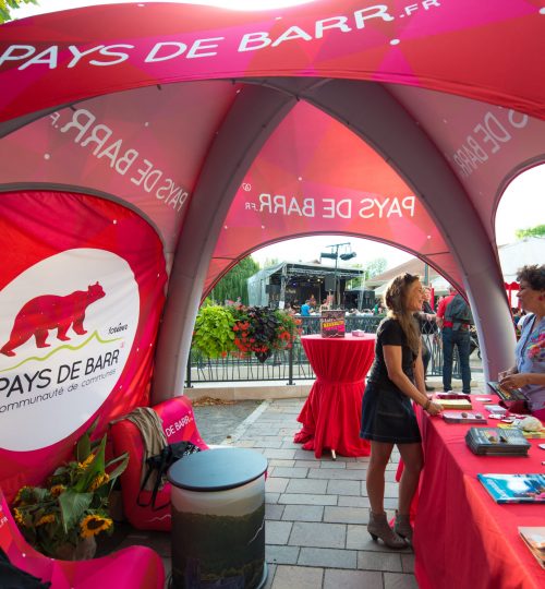 CDN2017_Gertwiller_190_(c)DavidFroemter