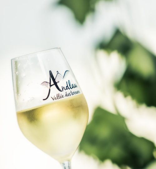 © Lilian Ginet
www.lilianginet.com
contact : lilian.ginet@gmail.com
Facebook : Lilian Ginet - Images
Instagram : @lilianginet_images