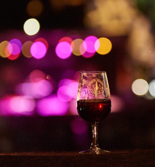 _DSC0617_raphael_photographie_concert_festival_clair_de_nuit