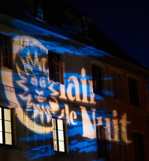 _DSC0619_raphael_photographie_concert_festival_clair_de_nuit