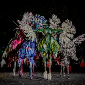 thumbnail_Quartier de Nuit Parc Miquey -0469